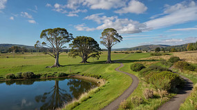 ��Ұ������ľ��Ȼ���