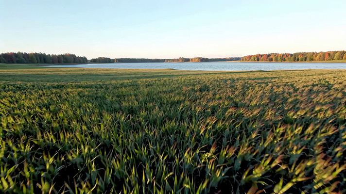 ��Ұ������Ȼ����ز� mp4