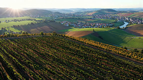 ��԰�������԰���ȫ��