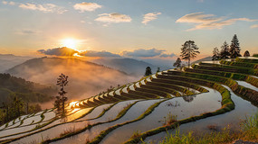 �����ճ���Ȼ���