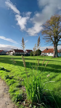 ���ݵ��뷿�ݷ羰