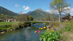 ������ɽ����Ȼ���