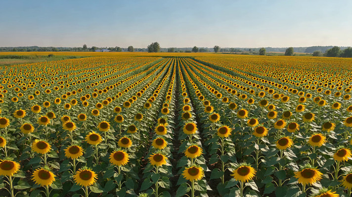 ���տ�����Ȼ���ȫ��