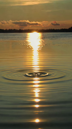 Ϧ���º��沨�����Ծ���