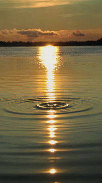 Ϧ���º��沨�����Ծ���