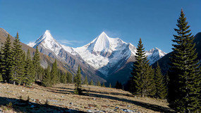 ѩɽɭ����Ȼ����ز�