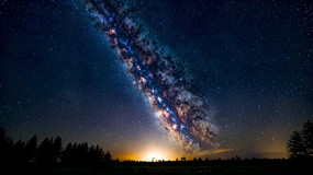 ҹ���µ�������ɭ�־���