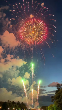 ҹ�����ŵĶ���̻�