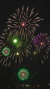 ҹ�������ŵĶ���̻�