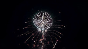 ҹ�������ŵ��̻�