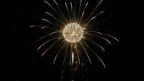 ҹ�������ŵ��̻��ز�