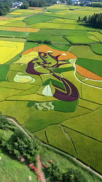 ��ɫ��������ͼ�����