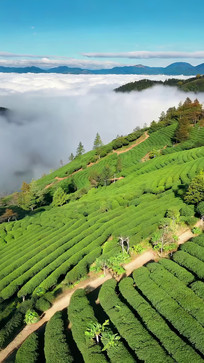 ��ɽ�ƺ�����ȫ��