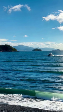 ���Ϻ��еĴ�ֻ�밶�߷羰