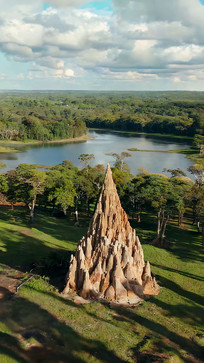 ������԰�������ɭ�־���