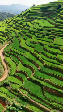 �����ɫ������԰���