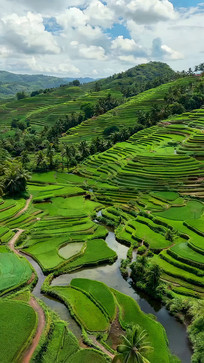 �����ɽ��Ĵ�������