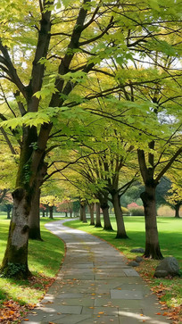 ��԰����С����Ȼ���