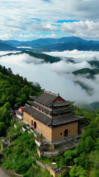 �Ž����ƺ�������