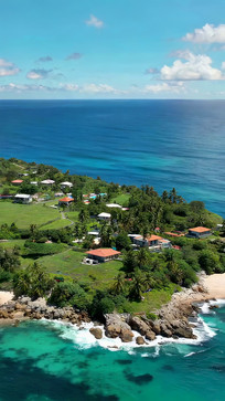 �����߷�����ֲ���ȫ��