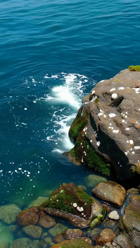 ���߽�ʯ�뺣���ز�