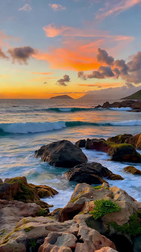 ����������Ȼ���