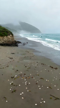 ����ɳ̲������Զɽ����