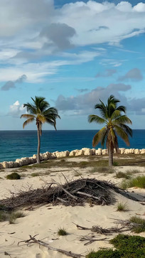 ����ɳ̲˫��������羰