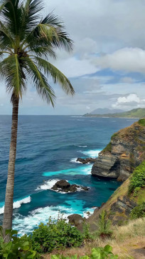 ����Ҭ�������¾���