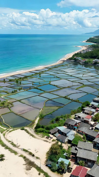 ���������ˮ����ֳ���