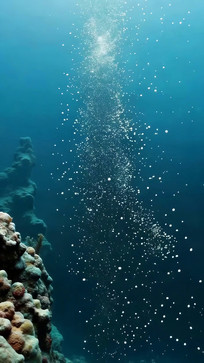 ����ɺ�������ݾ���