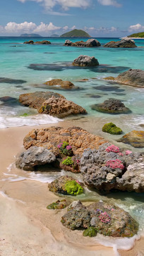 ��̲��ʯ���峺��ˮ����