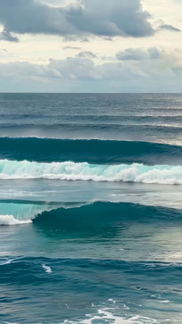 ��������Ȼ����