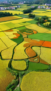 ���Ķ�ʵ�����԰���