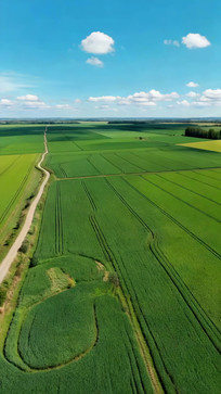 ������ɫ��Ұ�����С·