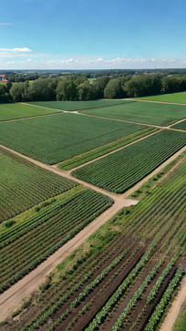 ����ũ����Ȼ���