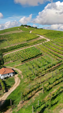 ��������԰��԰���