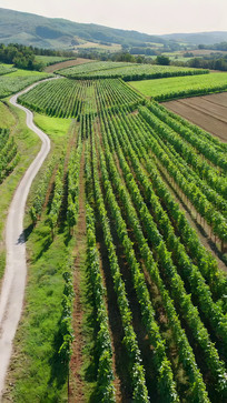 ��������԰��԰���