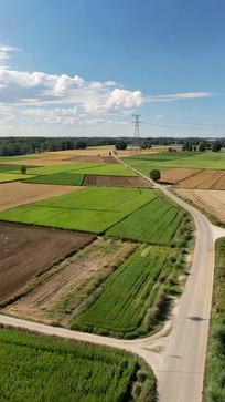 ������Ұ��ĵ�·��ũ��