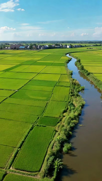 ������Ұ������Եĵ���