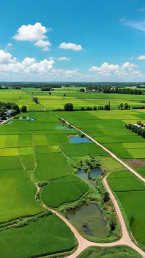 ������Ұ����ɫ���ﾰ��