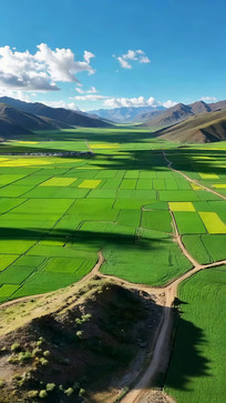 ������Ұ��Զɽ�羰�ز�