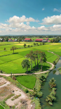 ������嵾����԰���