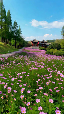 �����е���ʽ�Ž����羰