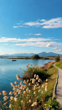 ����С·��Ȼ���