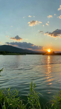 ����������Ȼ���