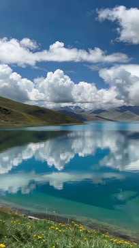 ������Ȼ���