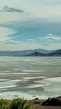 ������Ȼ���Զ��