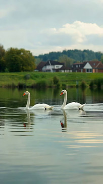 ���������ε���ֻ�����