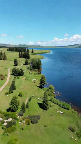 ���ϲݵ���Ȼ��⺽���ز�